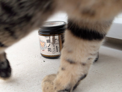 Bougie fleur de coton